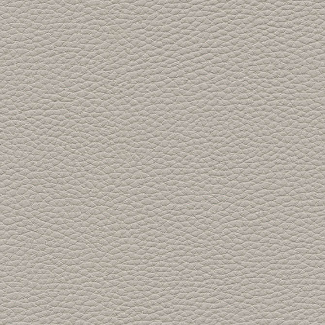 Tebessa-Nj # 139 Dove by Maxwell Fabric Memos Only-Coated Fabrics FACE: 100% PVC
BACKING: 100% POLYESTER VIETNAM 54" - Fabric Carolina -