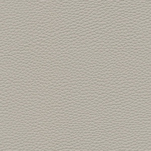 Tebessa-Nj # 139 Dove by Maxwell Fabric
