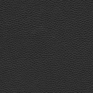 Tebessa-Nj # 141 Onyx by Maxwell Fabric