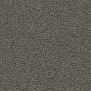 Tebessa-Nj # 142 Graphite by Maxwell Fabric