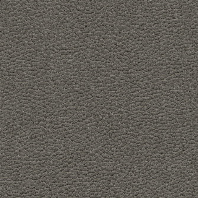 Tebessa-Nj # 142 Graphite by Maxwell Fabric Memos Only-Coated Fabrics FACE: 100% PVC
BACKING: 100% POLYESTER VIETNAM 54" - Fabric Carolina -