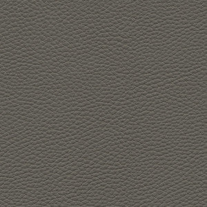 Tebessa-Nj # 142 Graphite by Maxwell Fabric