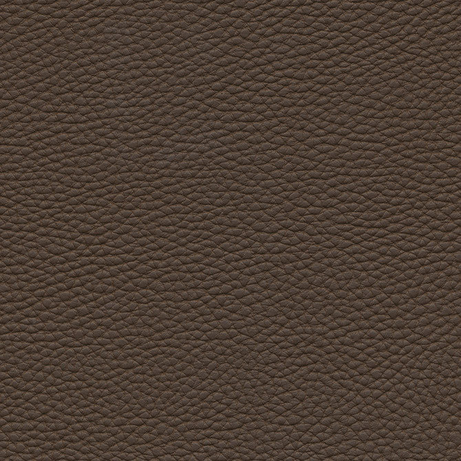 Tebessa-Nj # 143 Twig by Maxwell Fabric Memos Only-Coated Fabrics FACE: 100% PVC
BACKING: 100% POLYESTER VIETNAM 54" - Fabric Carolina -