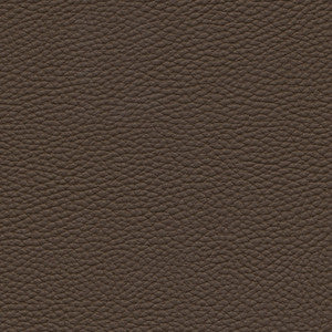 Tebessa-Nj # 143 Twig by Maxwell Fabric