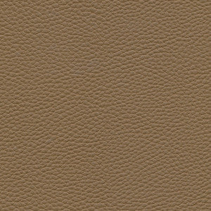 Tebessa-Nj # 145 Coconut by Maxwell Fabric
