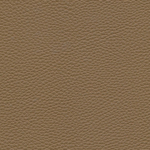 Tebessa-Nj # 145 Coconut by Maxwell Fabric