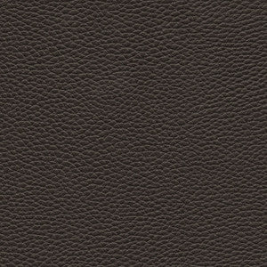 Tebessa-Nj # 147 Star Anise by Maxwell Fabric