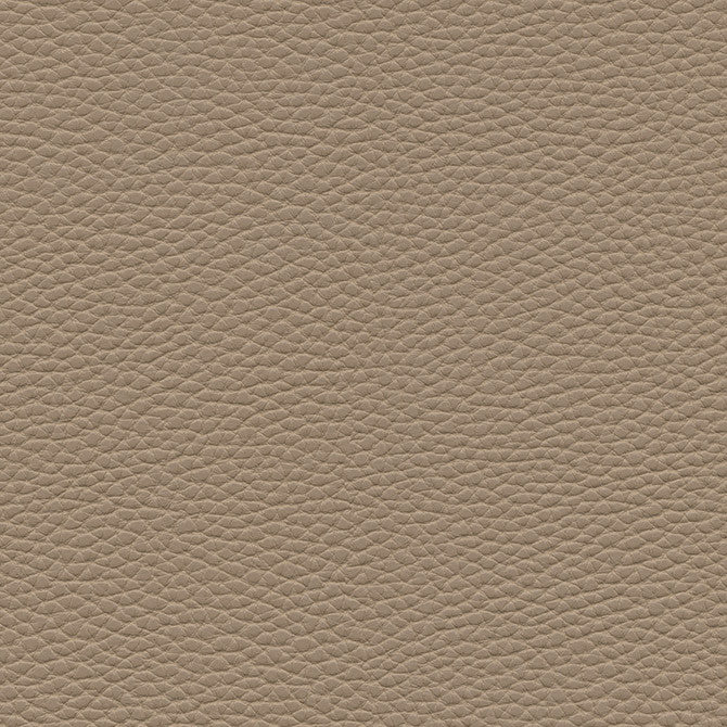 Tebessa-Nj # 148 Sienna by Maxwell Fabric Memos Only-Coated Fabrics FACE: 100% PVC
BACKING: 100% POLYESTER VIETNAM 54" - Fabric Carolina -