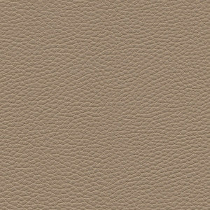 Tebessa-Nj # 148 Sienna by Maxwell Fabric