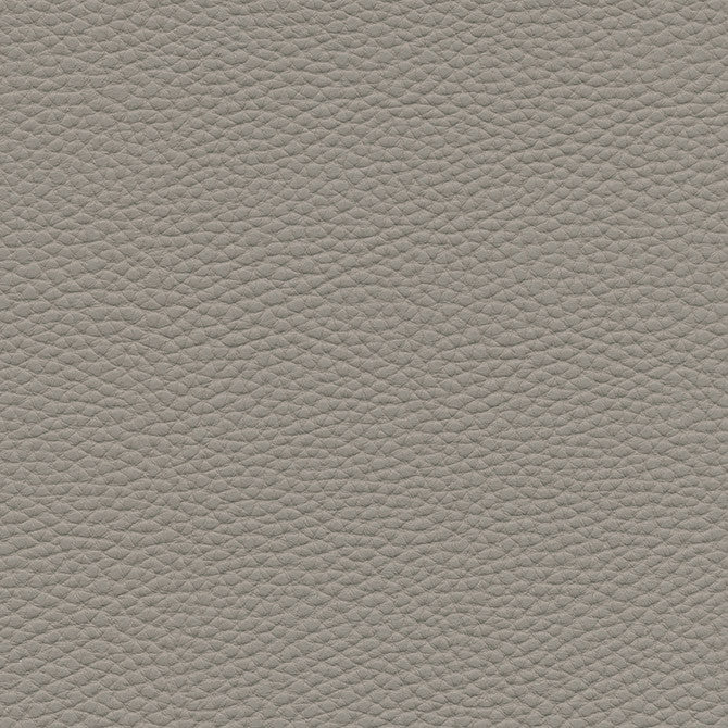 Tebessa-Nj # 149 Rock by Maxwell Fabric Memos Only-Coated Fabrics FACE: 100% PVC
BACKING: 100% POLYESTER VIETNAM 54" - Fabric Carolina -