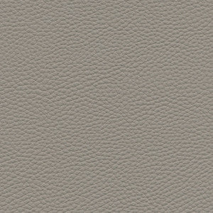 Tebessa-Nj # 149 Rock by Maxwell Fabric