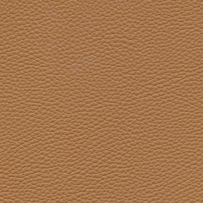 Tebessa-Nj # 150 Pinto by Maxwell Fabric Memos Only-Coated Fabrics FACE: 100% PVC
BACKING: 100% POLYESTER VIETNAM 54" - Fabric Carolina -