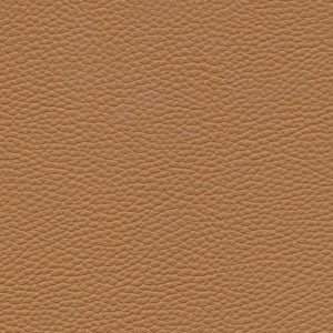Tebessa-Nj # 150 Pinto by Maxwell Fabric