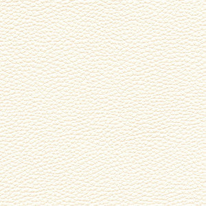 Tebessa-Nj # 151 Ivory by Maxwell Fabric