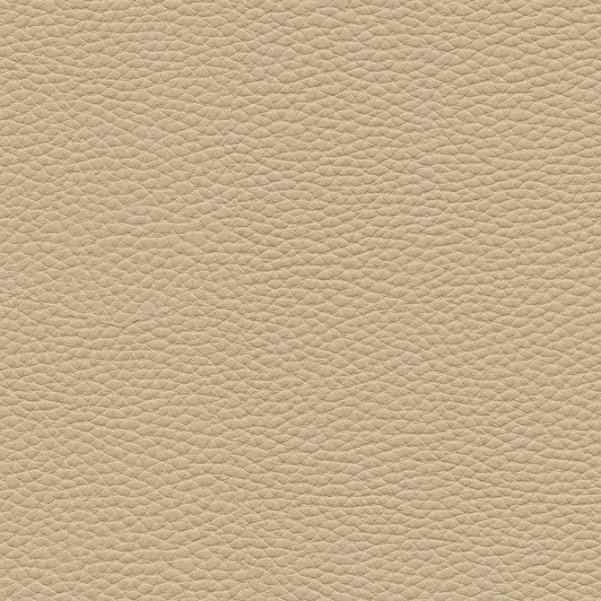 Tebessa-Nj # 152 Birch by Maxwell Fabric Memos Only-Coated Fabrics FACE: 100% PVC
BACKING: 100% POLYESTER VIETNAM 54" - Fabric Carolina -