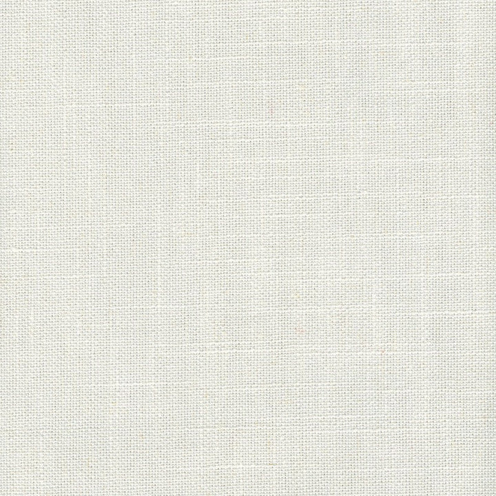 Tucker Snow by Magnolia Designer Fabric - 36Poly/26Ctn/22Visc/16Lin China 30000 Horizontal: 0 and Vertical: 0 54" - Swanky Fabrics -