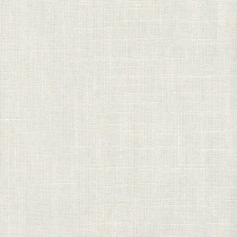 Tucker Snow by Magnolia Fabric - 36Poly/26Ctn/22Visc/16Lin China 30000 Horizontal: 0 and Vertical: 0 54" - Fabric Carolina -
