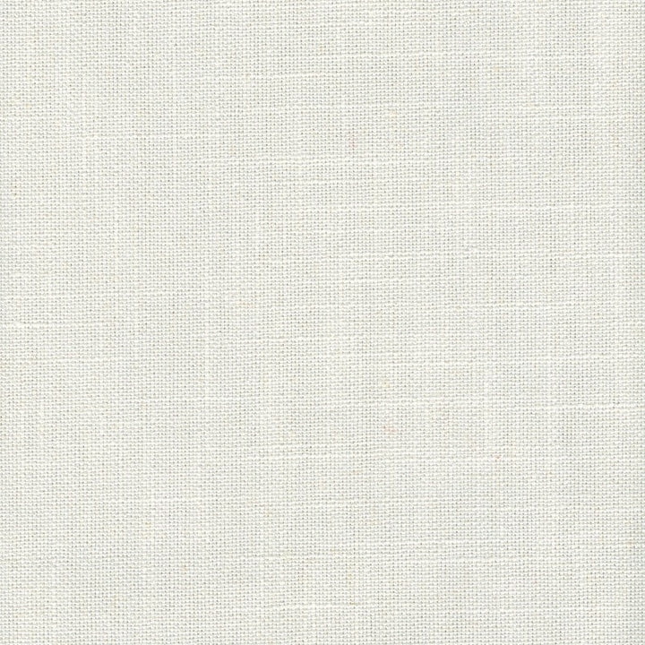 Tucker Snow by Magnolia Fabric - 36Poly/26Ctn/22Visc/16Lin China 30000 Horizontal: 0 and Vertical: 0 54" - Fabric Carolina -