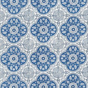 Tucson 1 Bluebird by Aoc Fabric