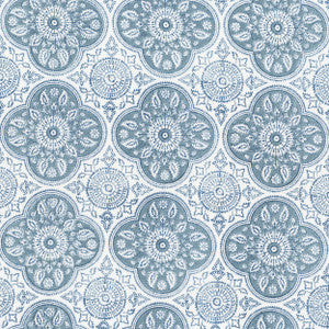 Tucson 3 Denim by Aoc Fabric
