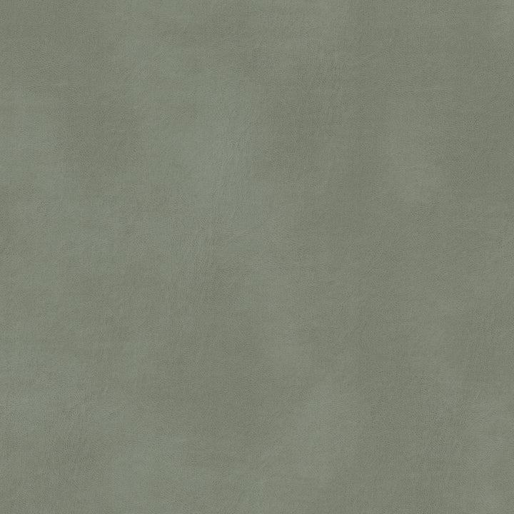 Turco 11 Grey by Stout Fabric LEATHER LOOKS III PERFORMANCE 100%OTH 4%OTH CHINA FLAME RETARDANT-CA BULLETIN 117-SECTION E FLAME RETARDANT-U.F.A.C. CLASS 1 FLAME RETARDANT-N.F.P.A. 260A CLASS 1 WYZENBEEK 500 000 DOUBLE RUB WEAR TEST(EXTREMELY HEAVY DUTY) FLAME RETARDANT-FMVSS 302 Horizontal: 0.000 and Vertical: 0.000 54 in - Fabric Carolina -