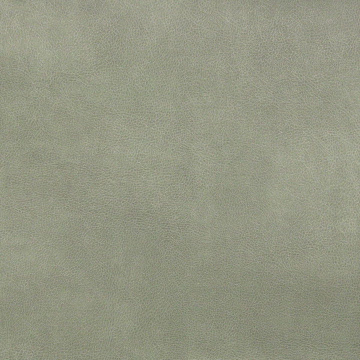 Turco 11 Grey by Stout Designer Fabric LEATHER LOOKS III PERFORMANCE 100%OTH 4%OTH CHINA FLAME RETARDANT-CA BULLETIN 117-SECTION E FLAME RETARDANT-U.F.A.C. CLASS 1 FLAME RETARDANT-N.F.P.A. 260A CLASS 1 WYZENBEEK 100 000 DOUBLE RUB WEAR TEST (HEAVY DUTY) PERFORMANCE RATED FABRIC Horizontal: 0 and Vertical: 0 54 in - Swanky Fabrics -
