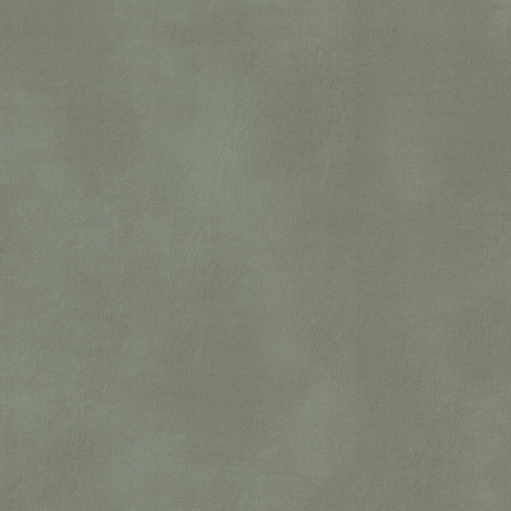 Turco 11 Grey by Stout Designer Fabric LEATHER LOOKS III PERFORMANCE 100%OTH 4%OTH CHINA FLAME RETARDANT-CA BULLETIN 117-SECTION E FLAME RETARDANT-U.F.A.C. CLASS 1 FLAME RETARDANT-N.F.P.A. 260A CLASS 1 WYZENBEEK 500 000 DOUBLE RUB WEAR TEST(EXTREMELY HEAVY DUTY) FLAME RETARDANT-FMVSS 302 Horizontal: 0.000 and Vertical: 0.000 54 in - Swanky Fabrics -
