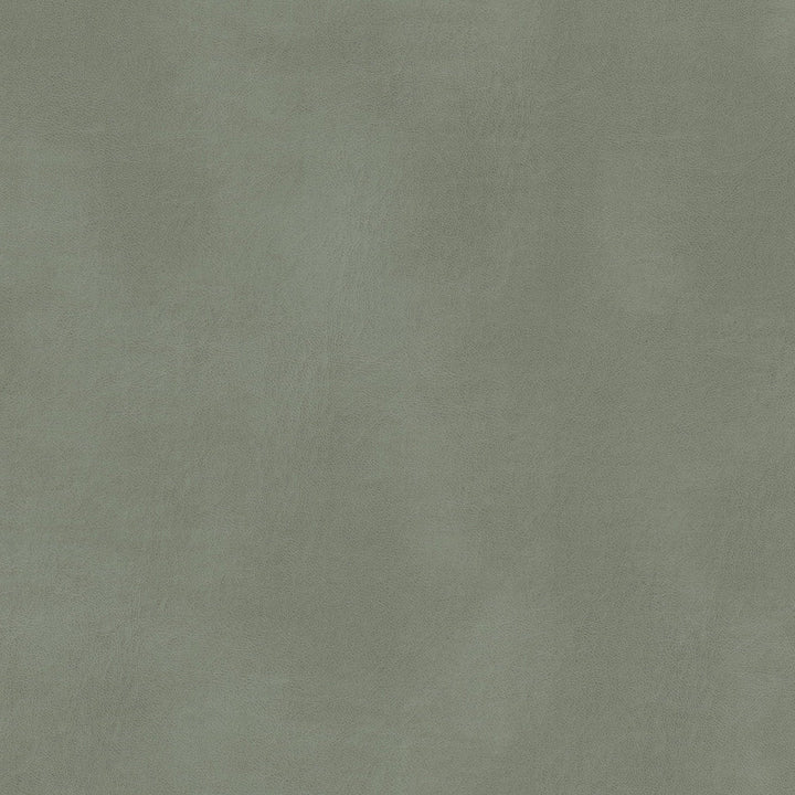 Turco 11 Grey by Stout Designer Fabric LEATHER LOOKS III PERFORMANCE 100%OTH 4%OTH CHINA FLAME RETARDANT-CA BULLETIN 117-SECTION E FLAME RETARDANT-U.F.A.C. CLASS 1 FLAME RETARDANT-N.F.P.A. 260A CLASS 1 WYZENBEEK 500 000 DOUBLE RUB WEAR TEST(EXTREMELY HEAVY DUTY) FLAME RETARDANT-FMVSS 302 Horizontal: 0.000 and Vertical: 0.000 54 in - Swanky Fabrics -