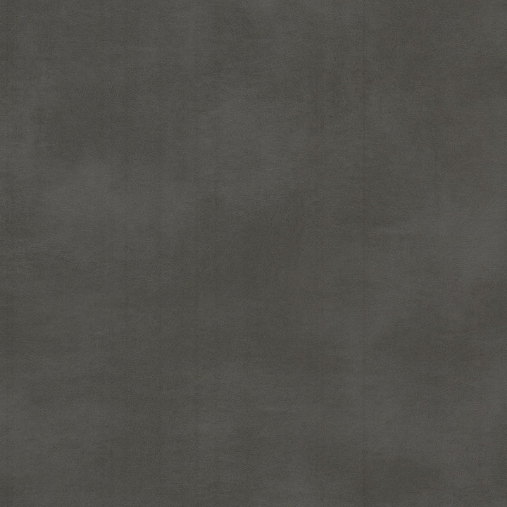 Turco 12 Charcoal by Stout Fabric LEATHER LOOKS III PERFORMANCE 100%OTH 4%OTH CHINA FLAME RETARDANT-CA BULLETIN 117-SECTION E FLAME RETARDANT-U.F.A.C. CLASS 1 FLAME RETARDANT-N.F.P.A. 260A CLASS 1 WYZENBEEK 500 000 DOUBLE RUB WEAR TEST(EXTREMELY HEAVY DUTY) FLAME RETARDANT-FMVSS 302 Horizontal: 0.000 and Vertical: 0.000 54 in - Fabric Carolina -