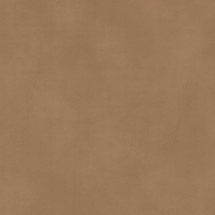 Turco 4 Caramel by Stout Fabric LEATHER LOOKS III PERFORMANCE 100%OTH 4%OTH CHINA Horizontal: 0.000 and Vertical: 0.000 54 in - Fabric Carolina -