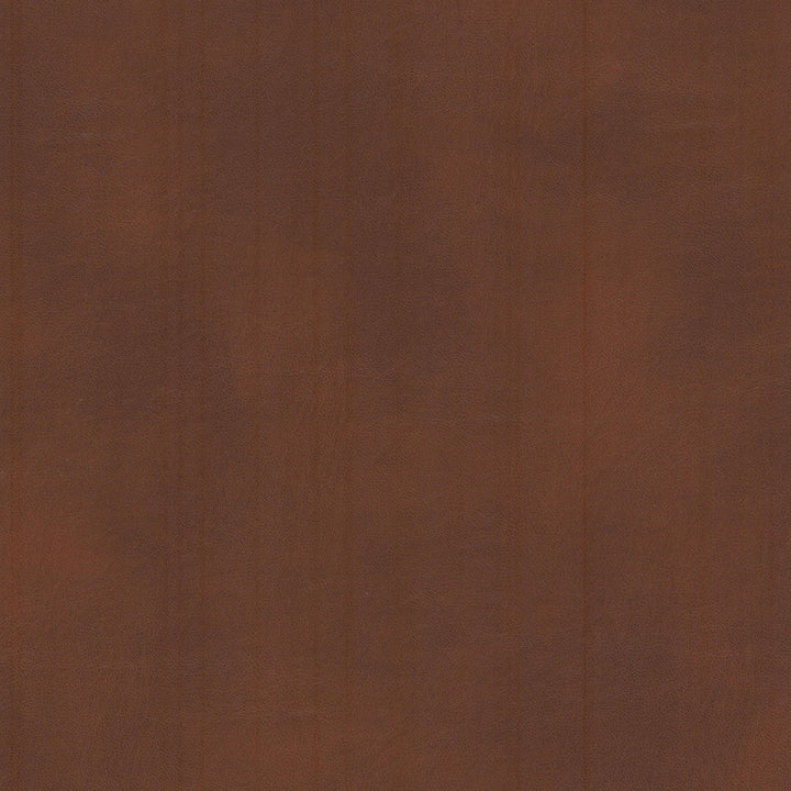 Turco 9 Brandy by Stout Designer Fabric LEATHER LOOKS III PERFORMANCE 100%OTH 4%OTH CHINA Horizontal: 0.000 and Vertical: 0.000 54 in - Swanky Fabrics -