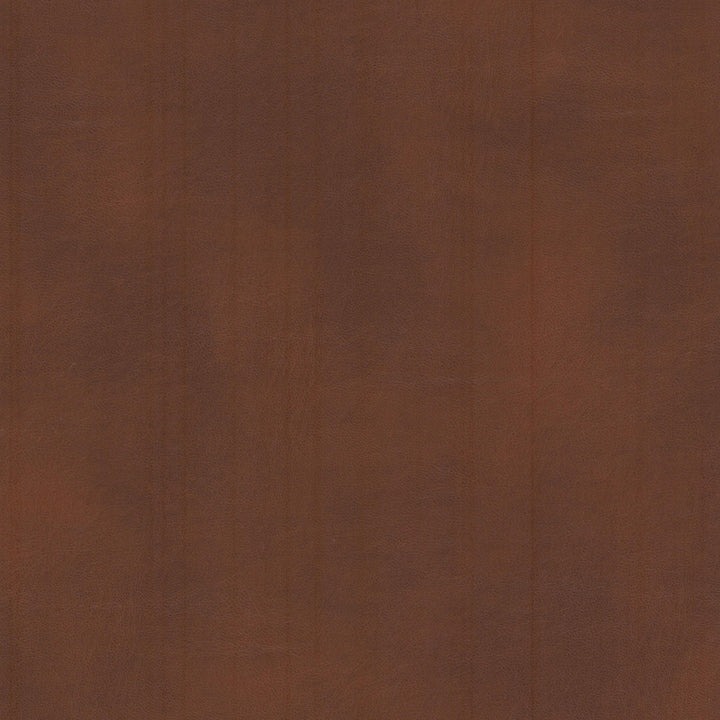 Turco 9 Brandy by Stout Fabric LEATHER LOOKS III PERFORMANCE 100%OTH 4%OTH CHINA Horizontal: 0.000 and Vertical: 0.000 54 in - Fabric Carolina -