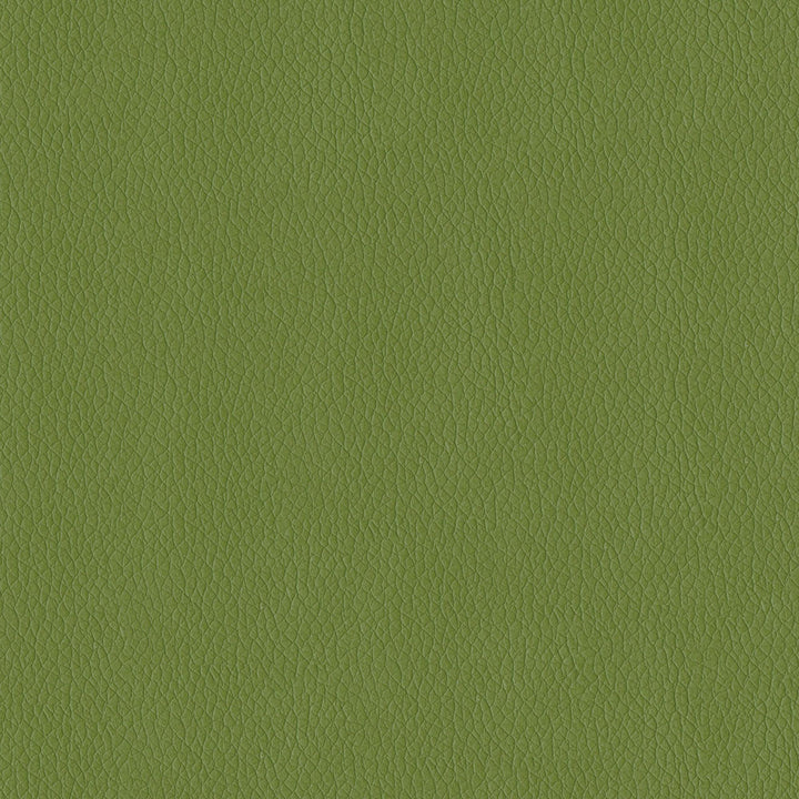 Miami 205 Sprig by ABBEYSHEA Fabric 100% Polyurethane (PU) China 500,000 Double Rubs (Wyzenbeek) </p><p>Repeat: Horizontal: and Vertical: 54" (137 cm) - Fabric Carolina -