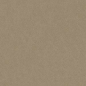 Miami 3948 Taupe by ABBEYSHEA Fabric
