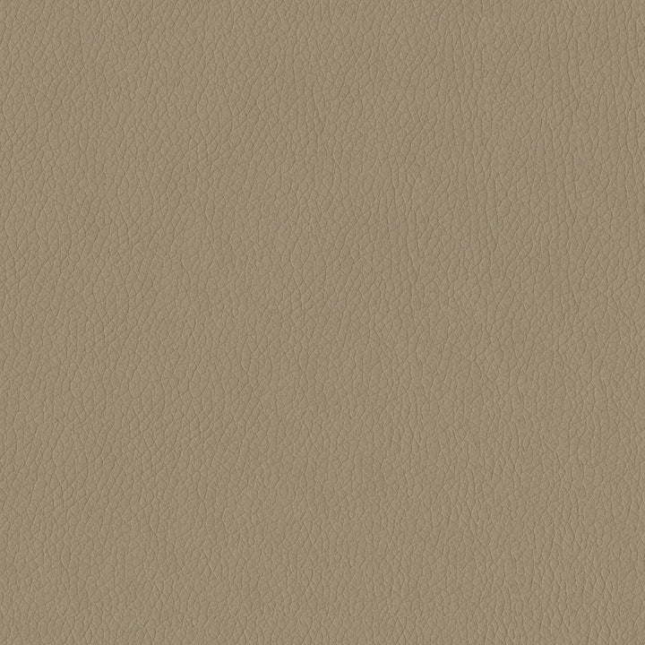 Miami 3948 Taupe by ABBEYSHEA Fabric N/A 100% Polyester China 15,000 Double Rubs </p><p>Repeat: Horizontal: and Vertical: 54" (137 cm) - Fabric Carolina -