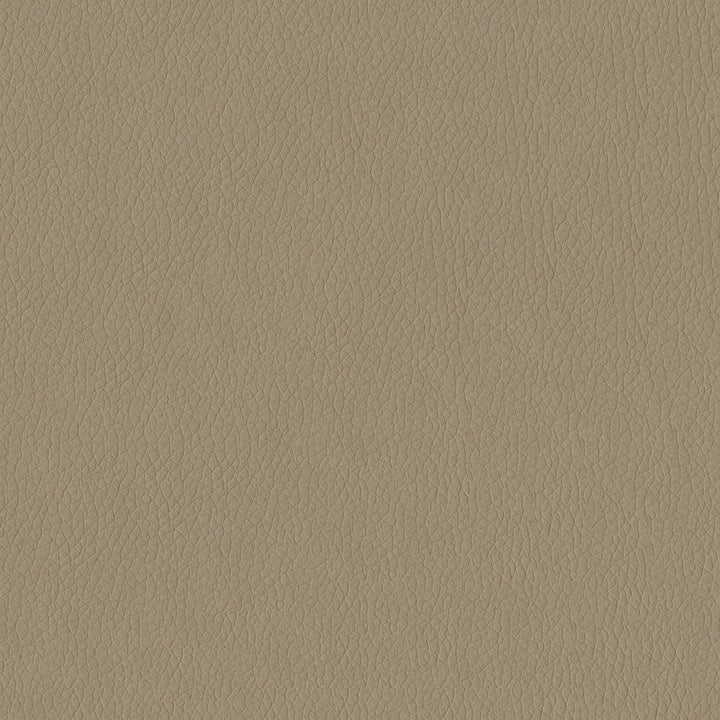 Miami 3948 Taupe by ABBEYSHEA Designer Fabric N/A 100% Polyester China 15,000 Double Rubs </p><p>Repeat: Horizontal: and Vertical: 54" (137 cm) - Swanky Fabrics -