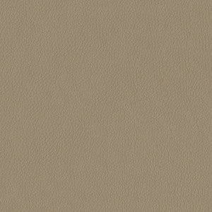 Miami 3948 Taupe by ABBEYSHEA Fabric