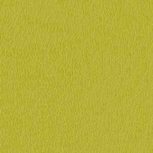 Miami 54 Citron by ABBEYSHEA Fabric