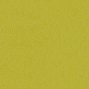 Miami 54 Citron by ABBEYSHEA Fabric