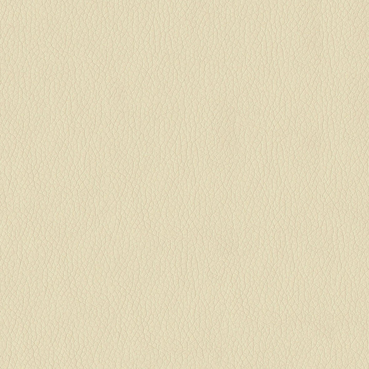 Miami 6003 Cream by ABBEYSHEA Fabric N/A 100% Polyester China </p><p>Repeat: Horizontal: 0.3" (0.8 cm) Across the Roll and Vertical: 0.3" (0.8 cm) Up the Roll 57" (144 cm) - Fabric Carolina -