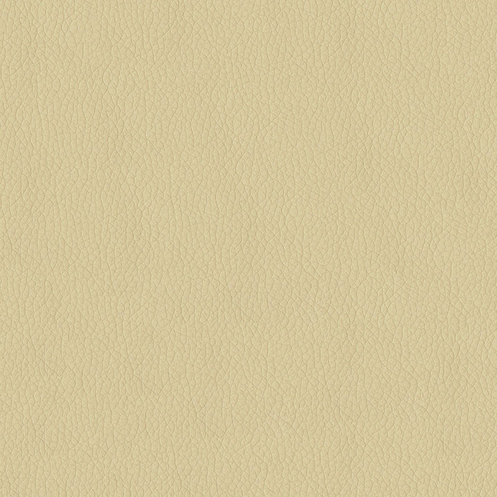 Miami 605 Parchment by ABBEYSHEA Fabric N/A 100% Polyester China </p><p>Repeat: Horizontal: 0.3" (0.8 cm) Across the Roll and Vertical: 0.3" (0.8 cm) Up the Roll 57" (144 cm) - Fabric Carolina -