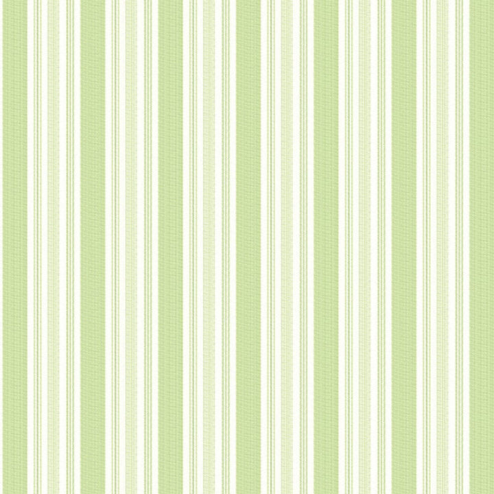 Turtled 1 Lime by Stout Designer Fabric RAINBOW LIBRARY LEAF/LAVENDER 100%COT INDIA MARTINDALE WEAR TEST (20 000 CIRCULAR RUBS) Horizontal: 4.5 and Vertical: 0 54 in - Swanky Fabrics -