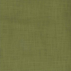 Tuscany Grass by Norbar Fabric PLANET 100% COTTON PAKISTAN 30,000 WYZENBEEK 54 - Fabric Carolina -