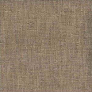 Tuscany Taupe by Norbar Fabric PLANET 100% COTTON PAKISTAN 30,000 WYZENBEEK 54 - Fabric Carolina -