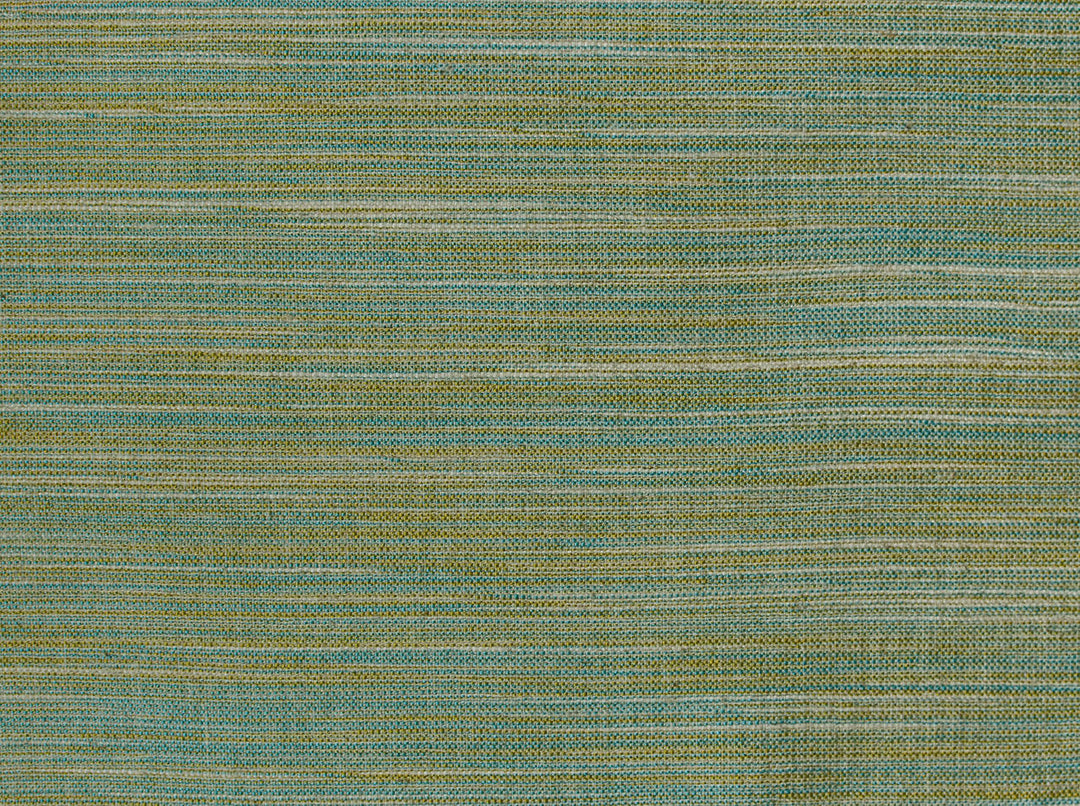 Tussah 220 Seagrass by Covington Designer Fabric