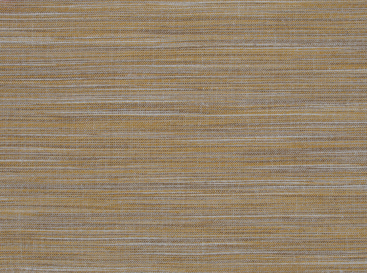 Tussah Golden 8 by Covington Fabric 66% POLY 20% COTTON 7% VISCOSE 7% LINEN INA 50000 Horizontal: 1 and Vertical: 1 54 - Fabric Carolina -