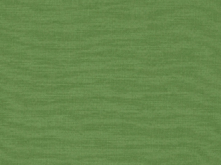 Hp-Tutti Frutti 251 Island Green by Covington Fabric 100% POLYESTER (53%STAPLE,47%FILAMENT) China 50000 Horizontal: 0 and Vertical: 0 57 - Fabric Carolina -