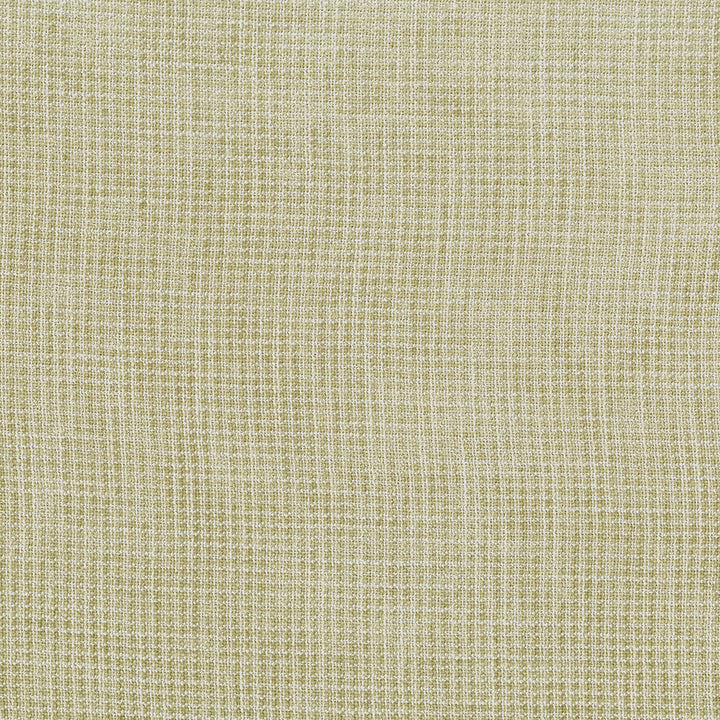 Sash 81 Buff by ABBEYSHEA Fabric N/A 100% Polyester China 100,000 Double Rubs </p><p>Repeat: Horizontal: and Vertical: 56" (142 cm) - Fabric Carolina -