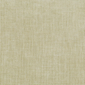 Sash 81 Buff by ABBEYSHEA Fabric