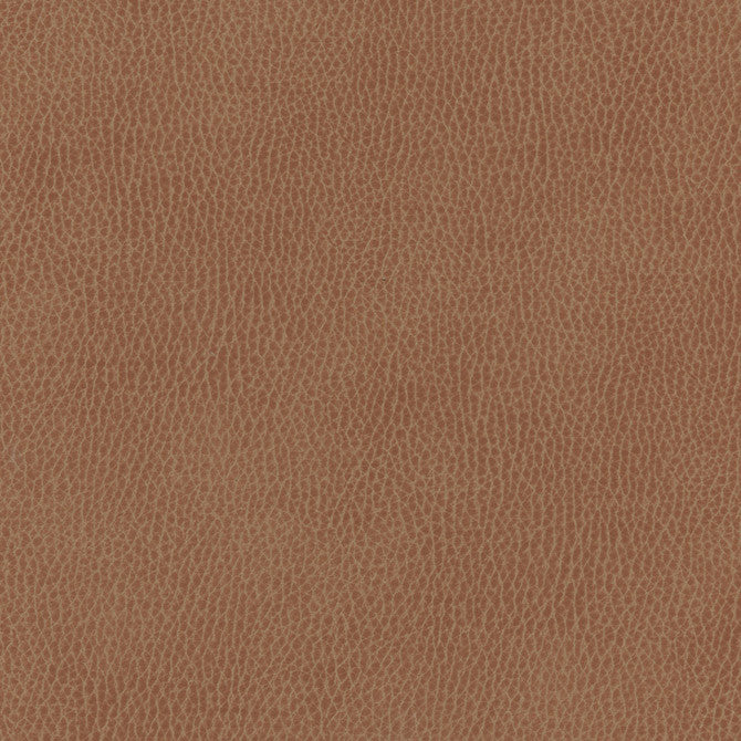 Top Grain-Nj # 839 Arabian by Maxwell Fabric Memos Only-Coated Fabrics FACE: 100% SILICONE
BACKING: 100% POLYESTER KOREA 54" - Fabric Carolina -